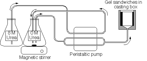 Picture of method for casting gradient gels